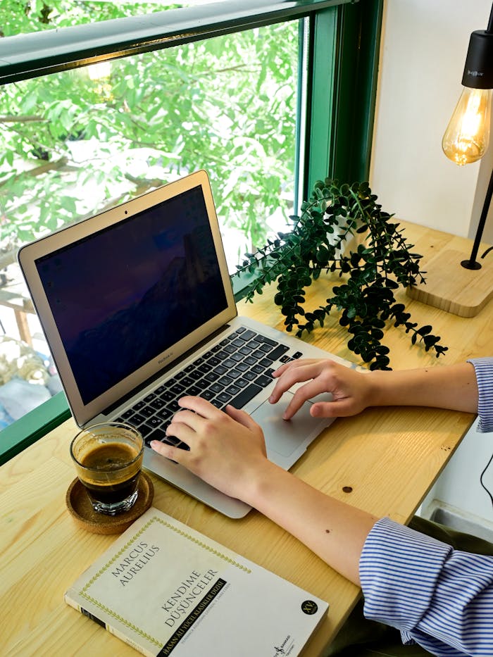 Tranquil workspace with laptop, coffee, and plant by a sunlit window.